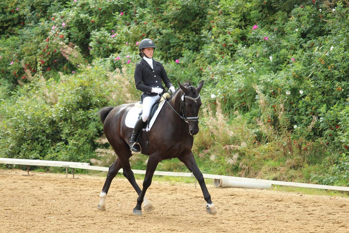 Oldenborg Fillip - Stævne i spjald billede 19