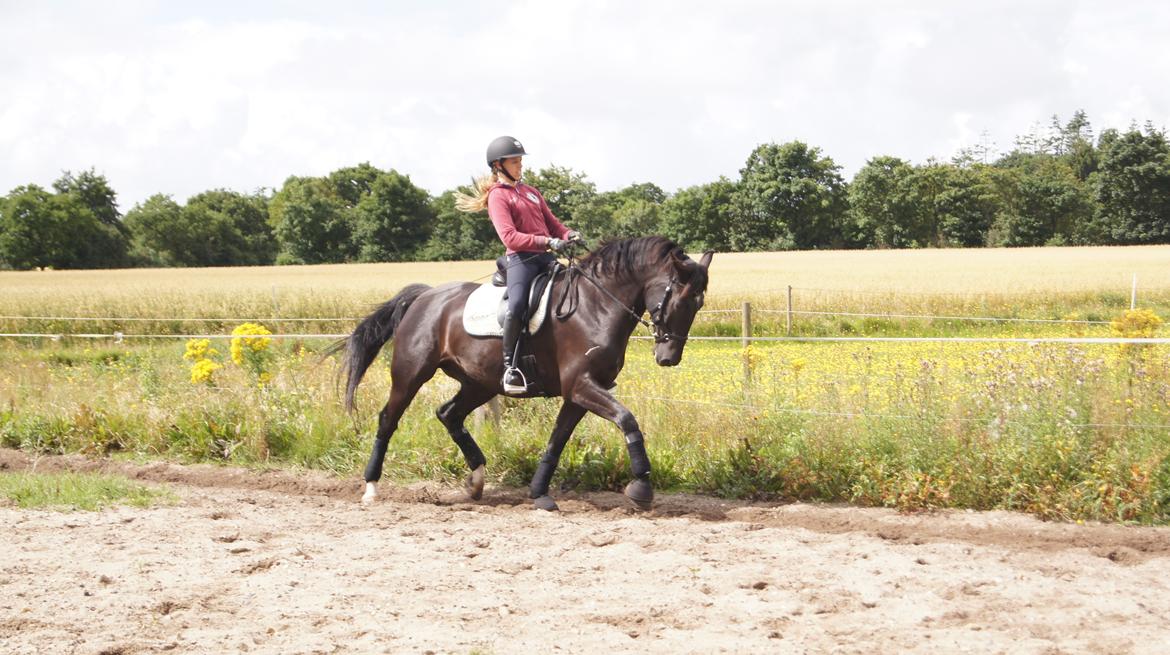 Oldenborg Fillip - Træning - 14 august billede 13