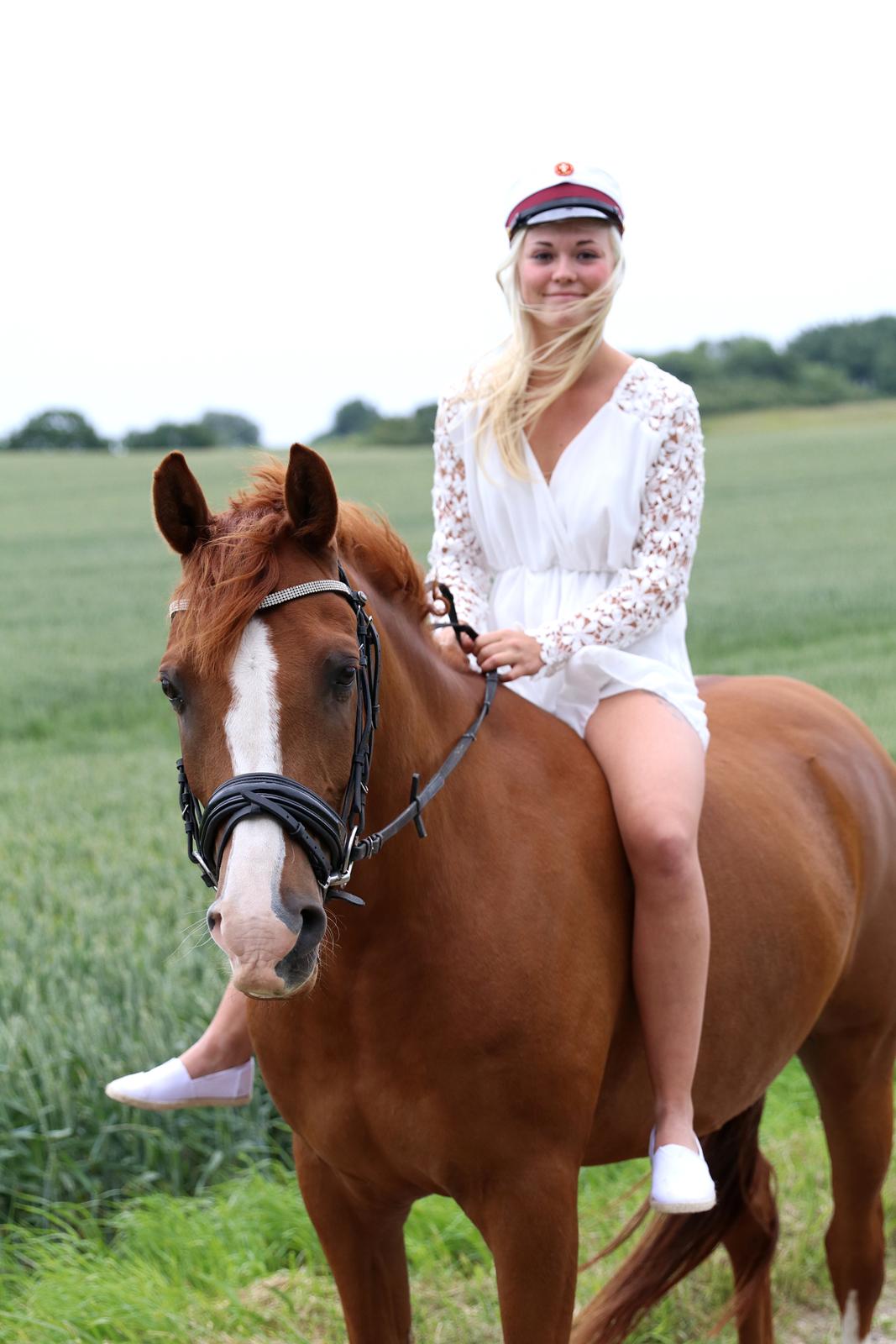 Anden særlig race Havens Astian billede 20