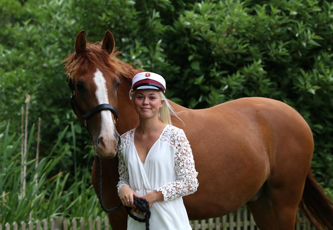 Anden særlig race Havens Astian billede 16