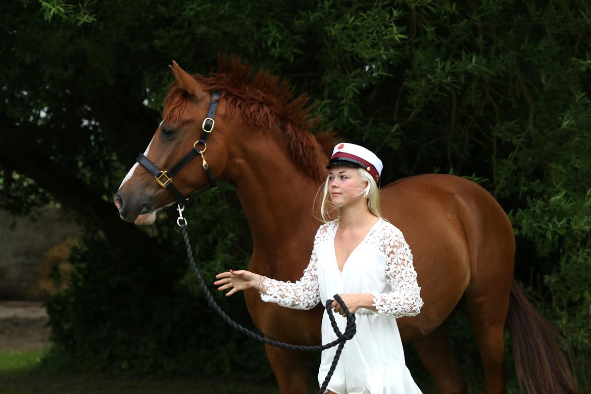 Anden særlig race Havens Astian billede 19