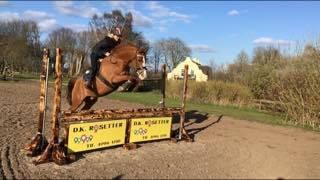 Anden særlig race Havens Astian billede 17