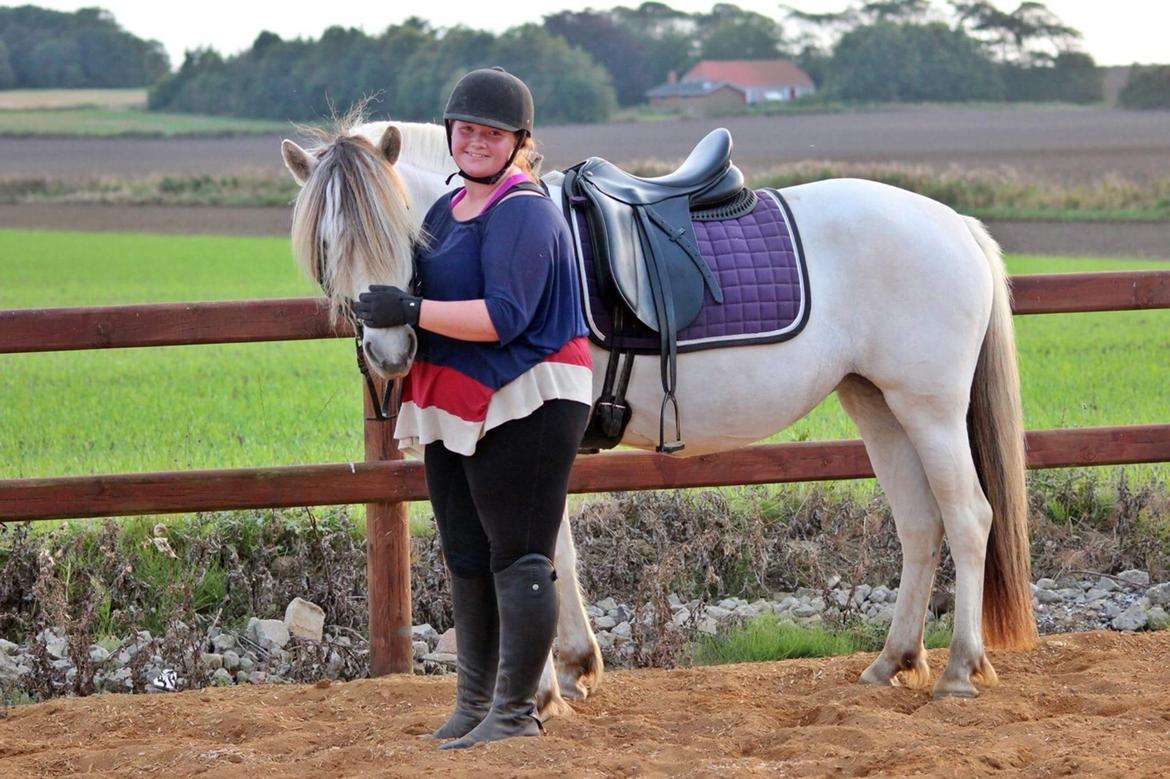 Fjordhest Kaja højmark billede 12