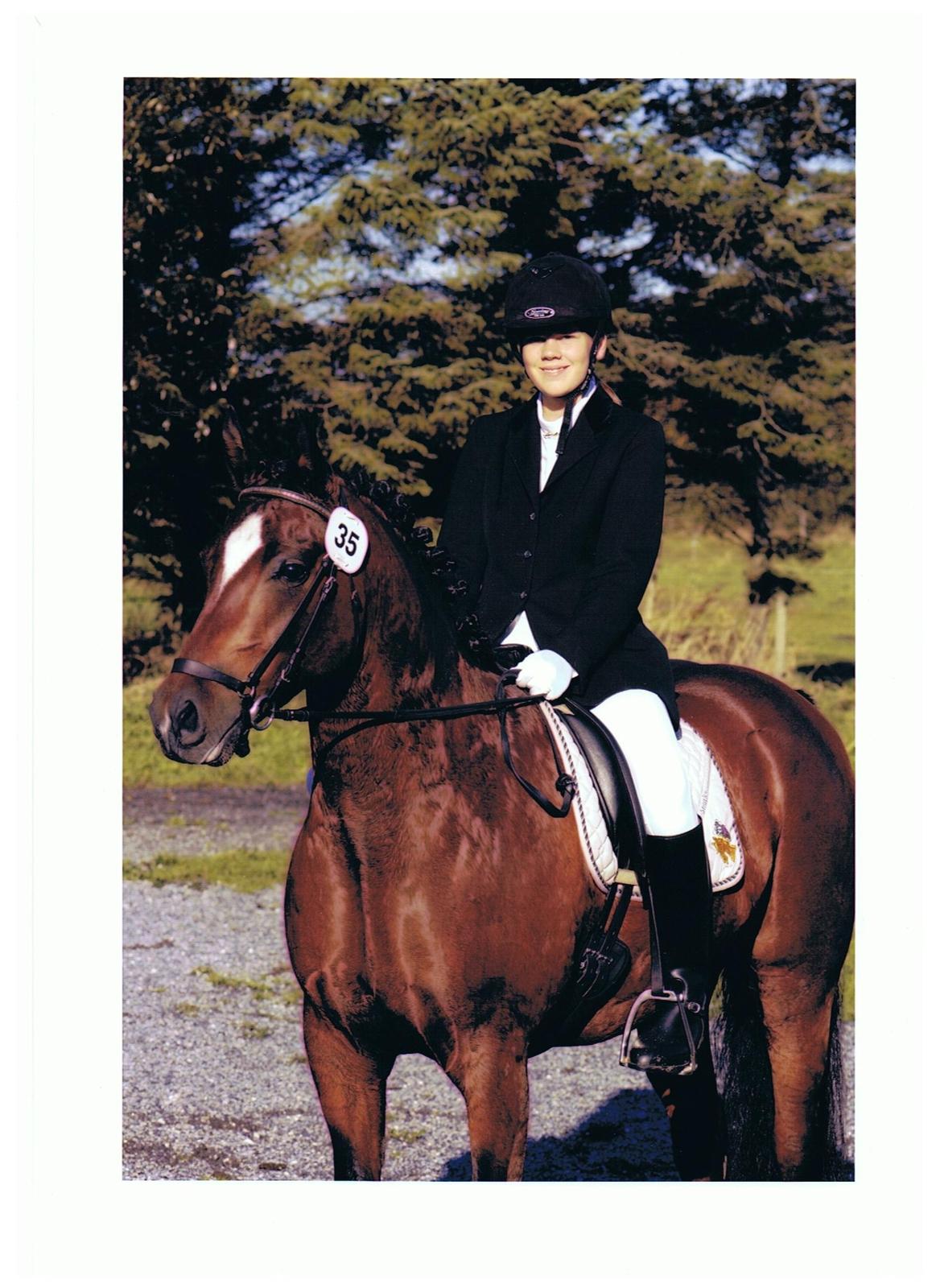 New Forest Malido - Et gammelt billede taget efter stævne billede 2