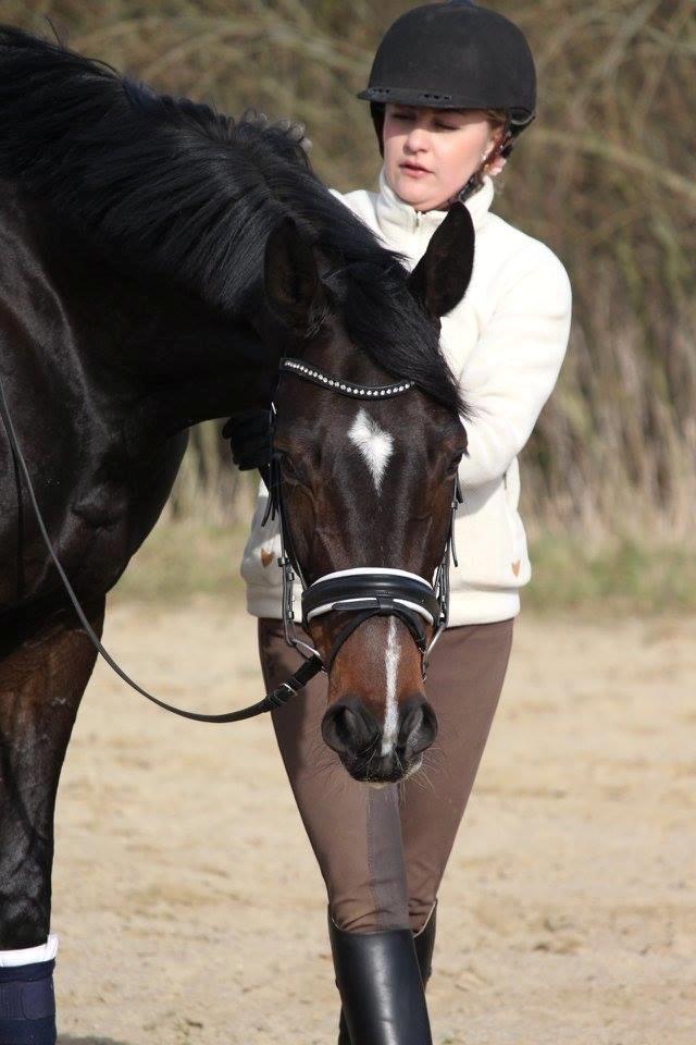 Dansk Varmblod Hexarin grønvang billede 15