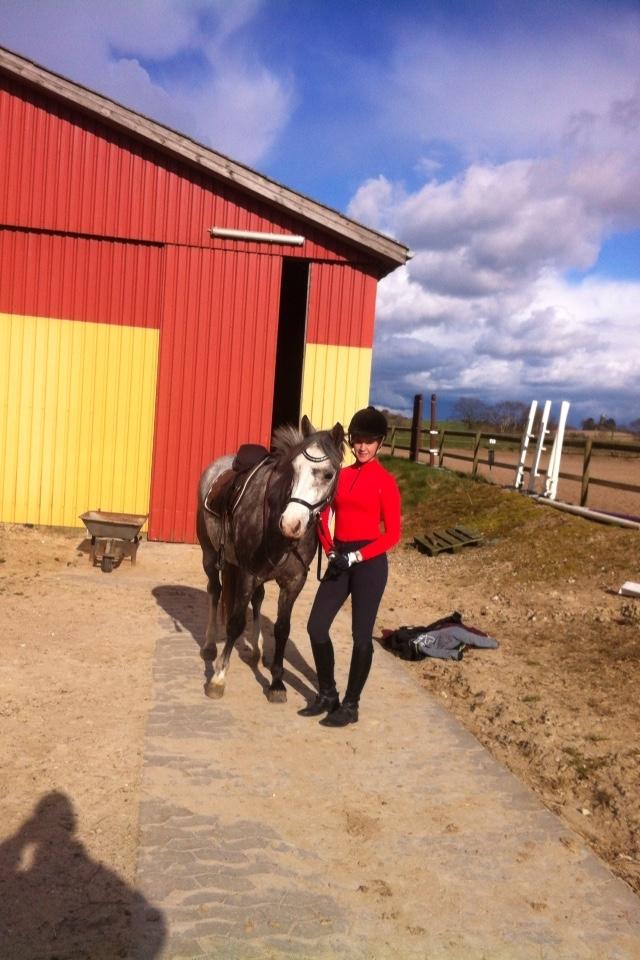 Connemara Hønsehalsens Baldur billede 11