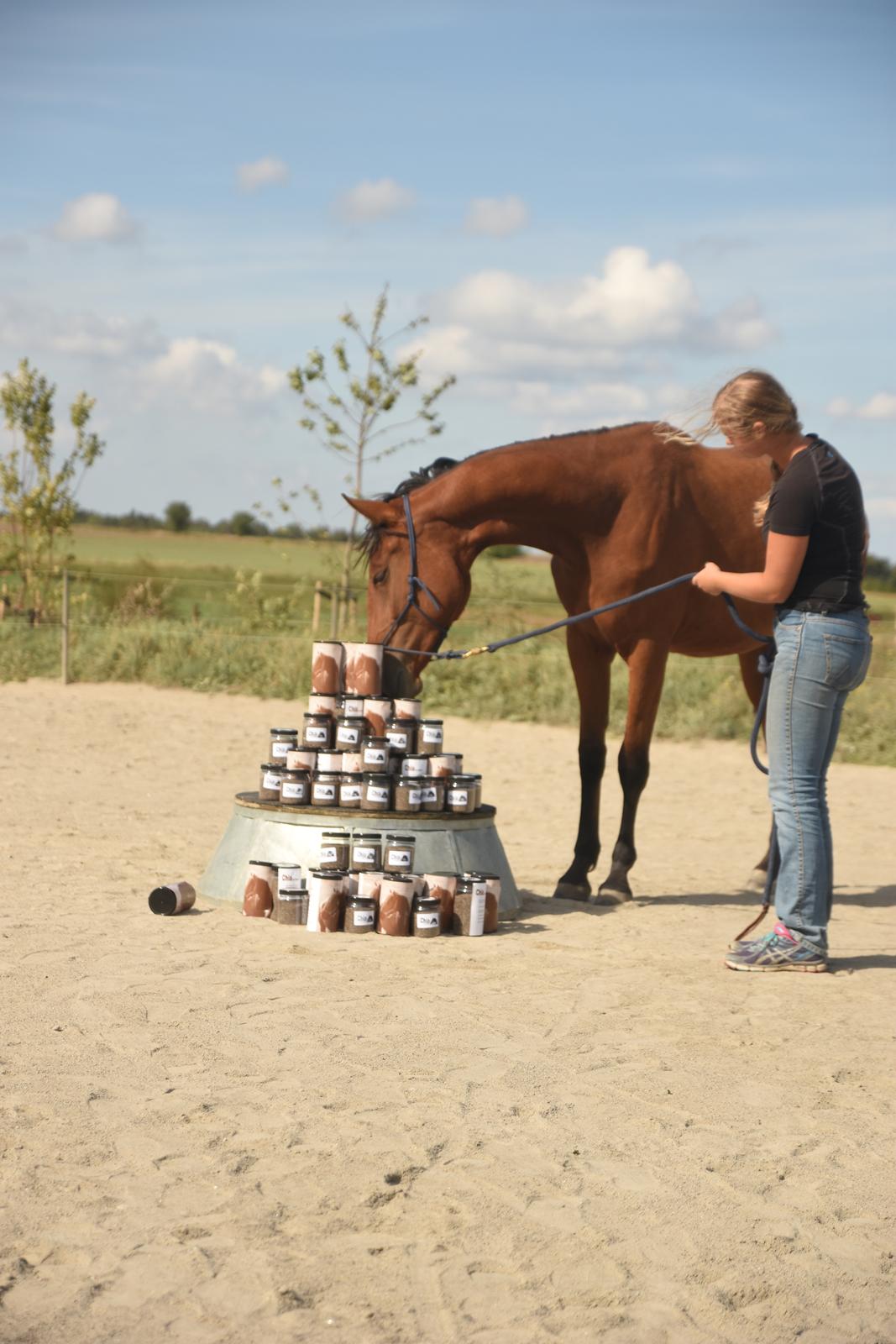 Anden særlig race Makker billede 9
