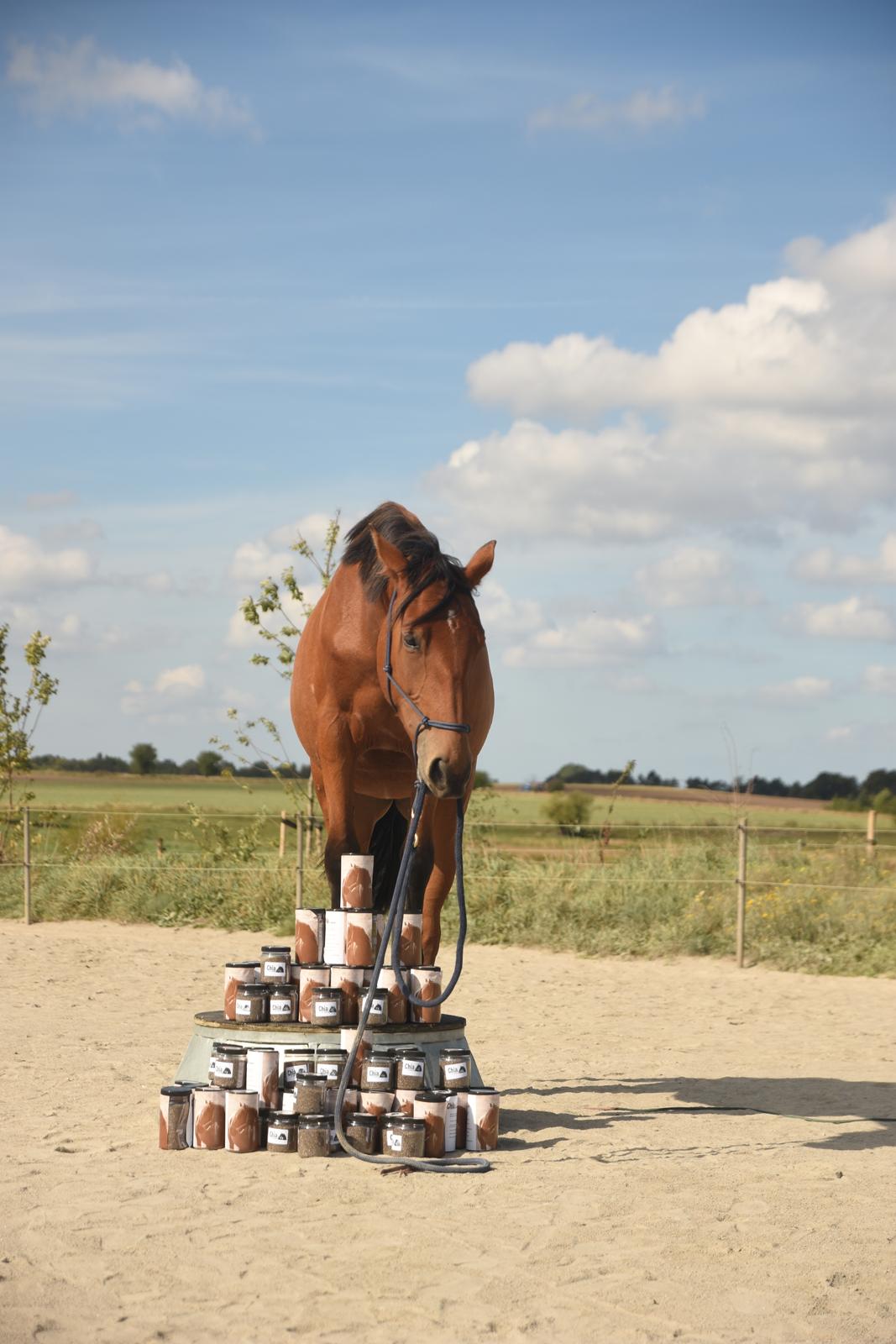 Anden særlig race Makker billede 1