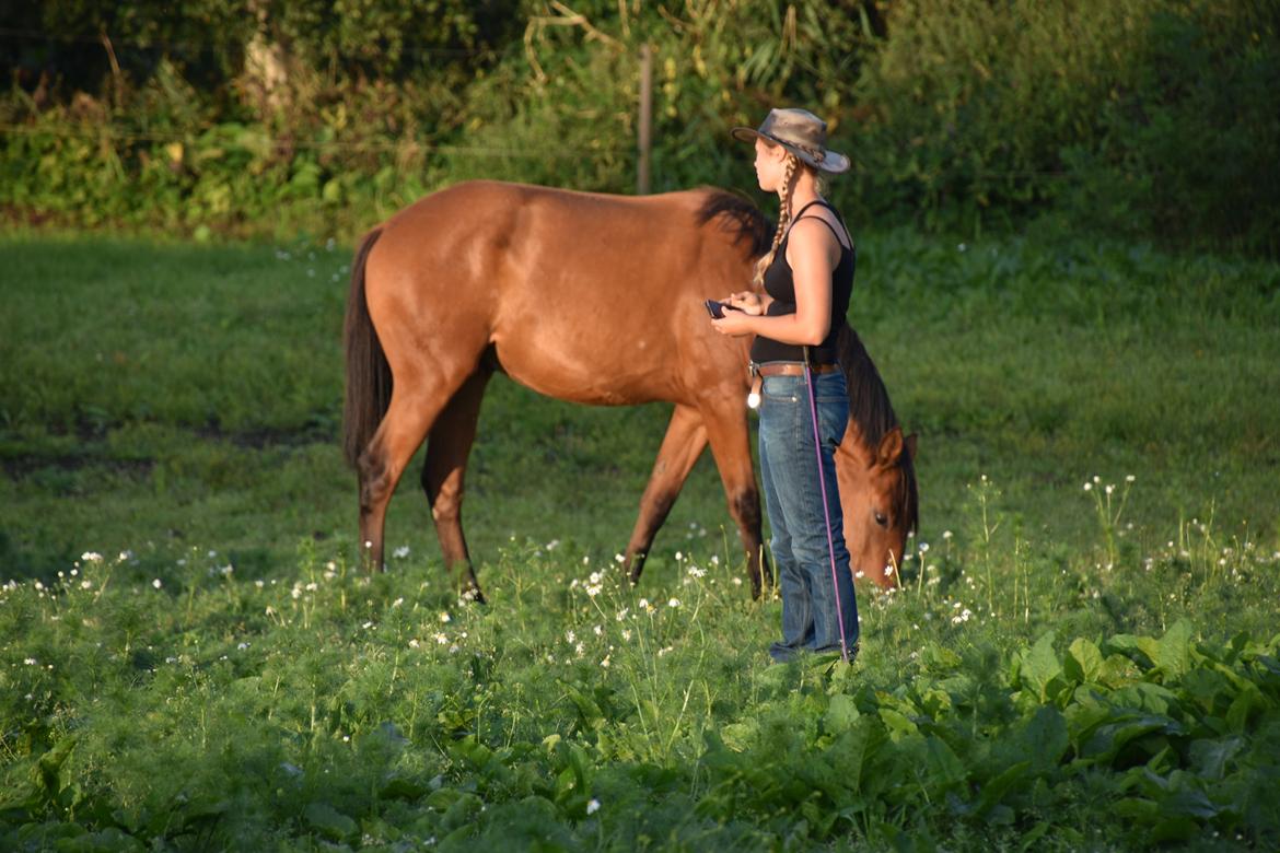Anden særlig race Makker billede 12