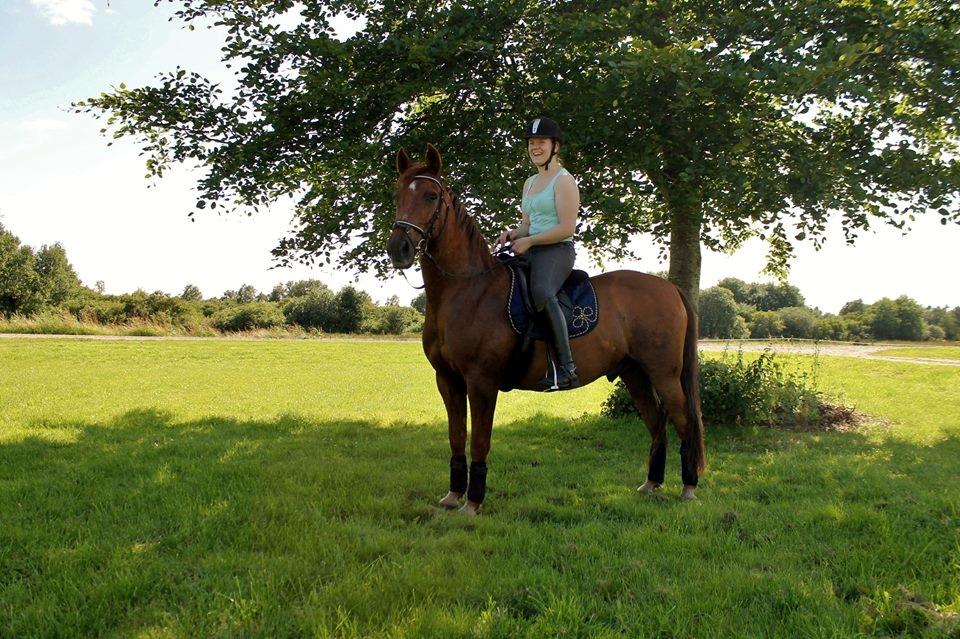 Anden særlig race Grønvangs Quinzy [R.I.P] billede 28