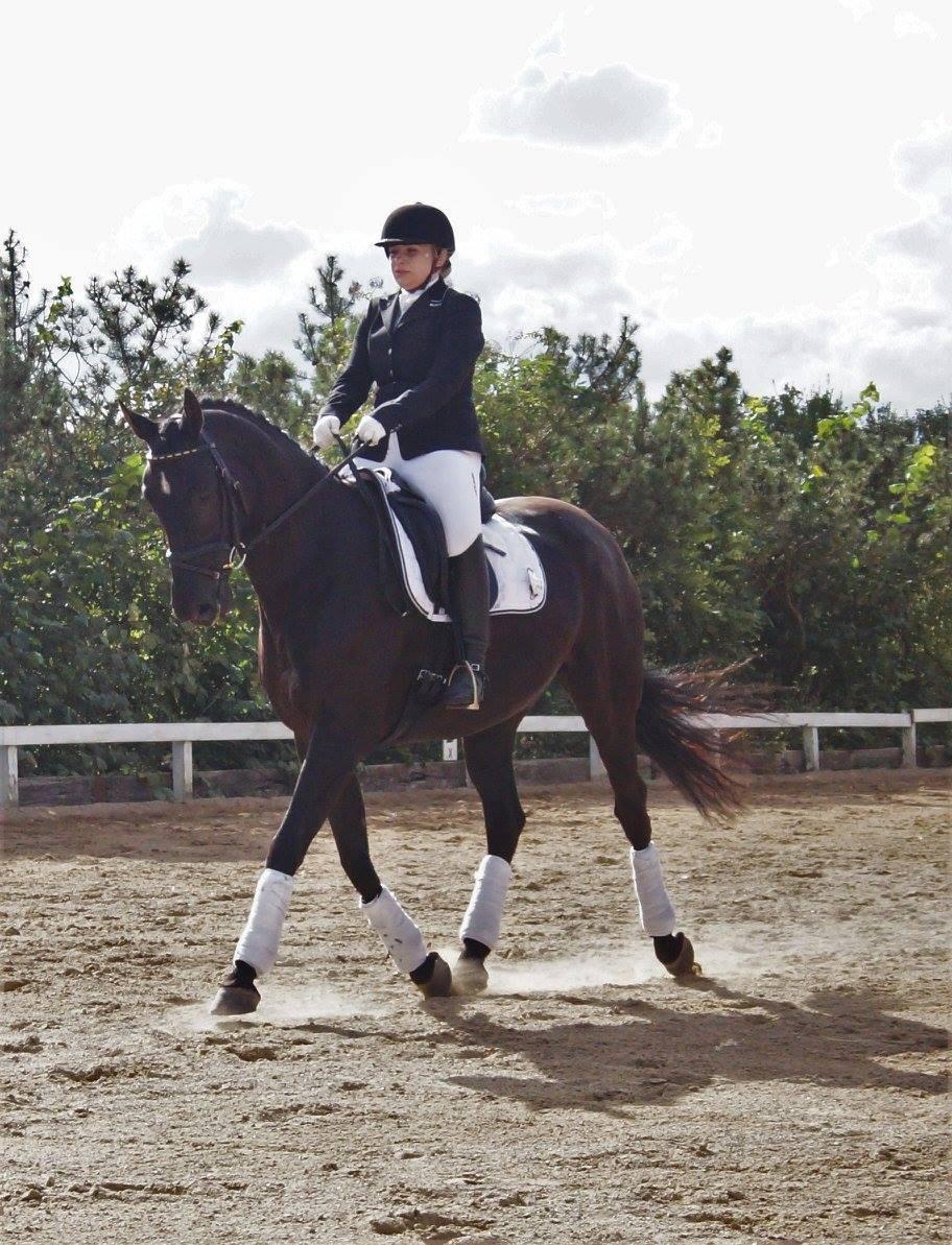 Trakehner Satori Birkedommergård - Stævne i Dolmer, sommer 2016 billede 13