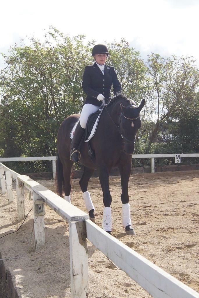 Trakehner Satori Birkedommergård - Stævne i Dolmer, sommer 2016 billede 14