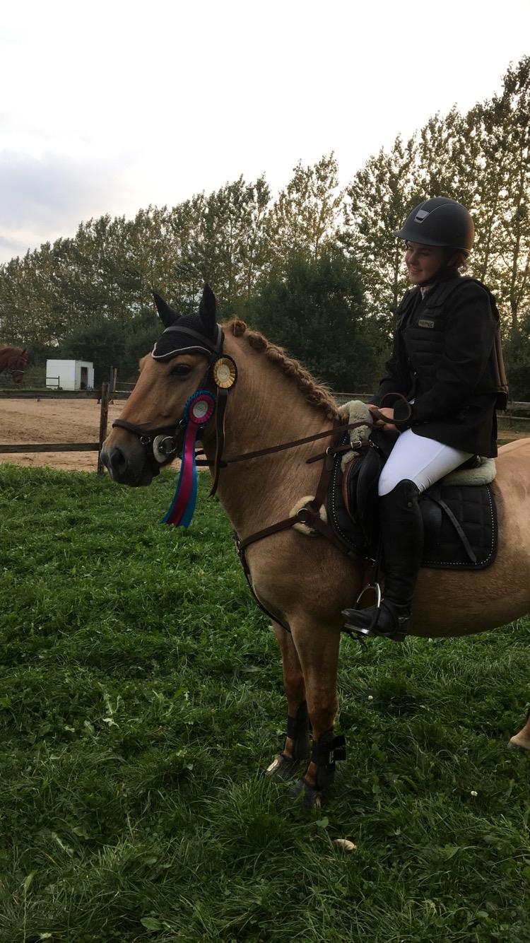 Anden særlig race Adonis billede 2