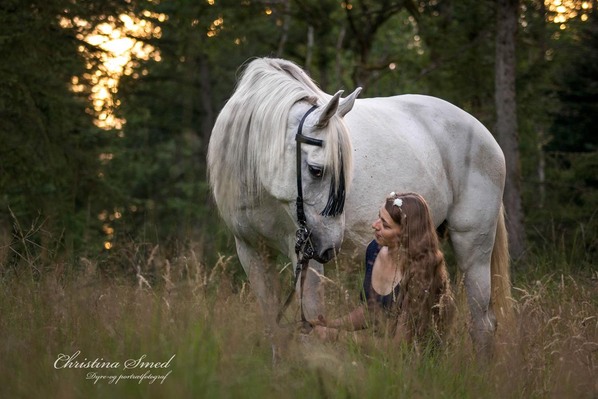 Anden særlig race Twenty - 30.07 2016 Fotograf Christina Smed billede 1