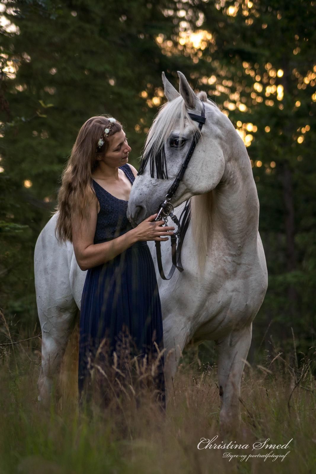 Anden særlig race Twenty - 30.07 2016 Fotograf Christina Smed billede 12