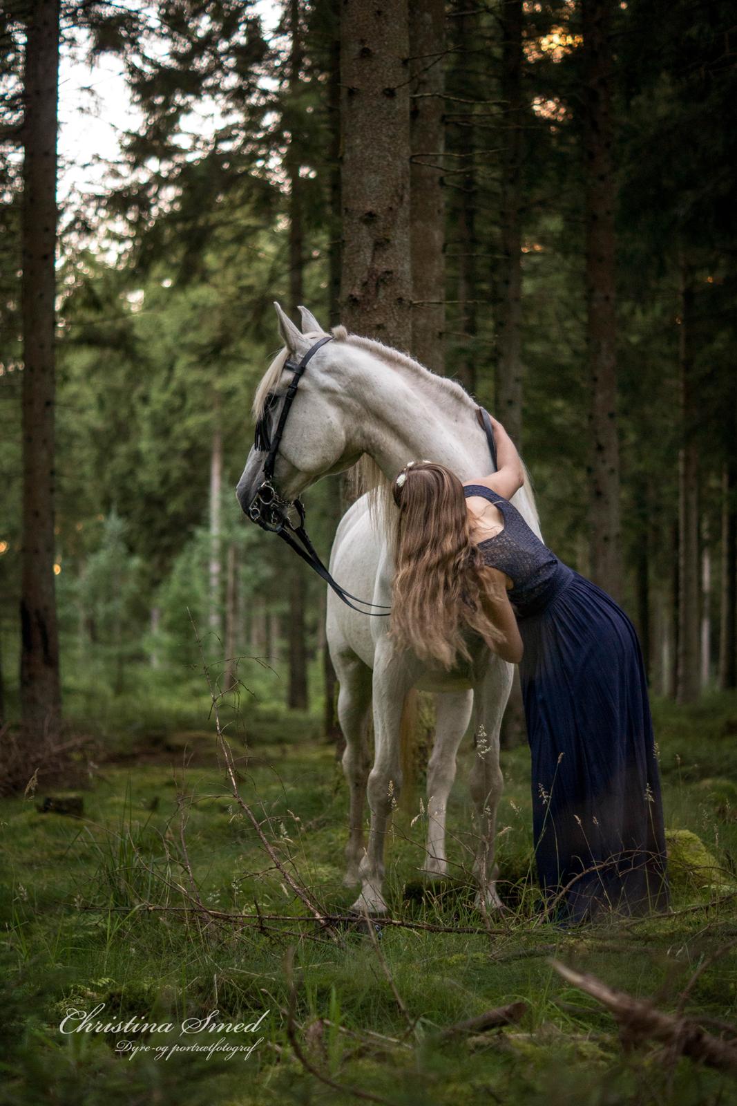 Anden særlig race Twenty - 30.07 2016 Fotograf Christina Smed billede 4