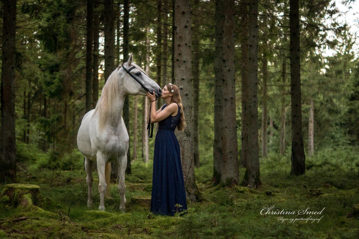 Anden særlig race Twenty - 30.07 2016 Fotograf Christina Smed billede 2
