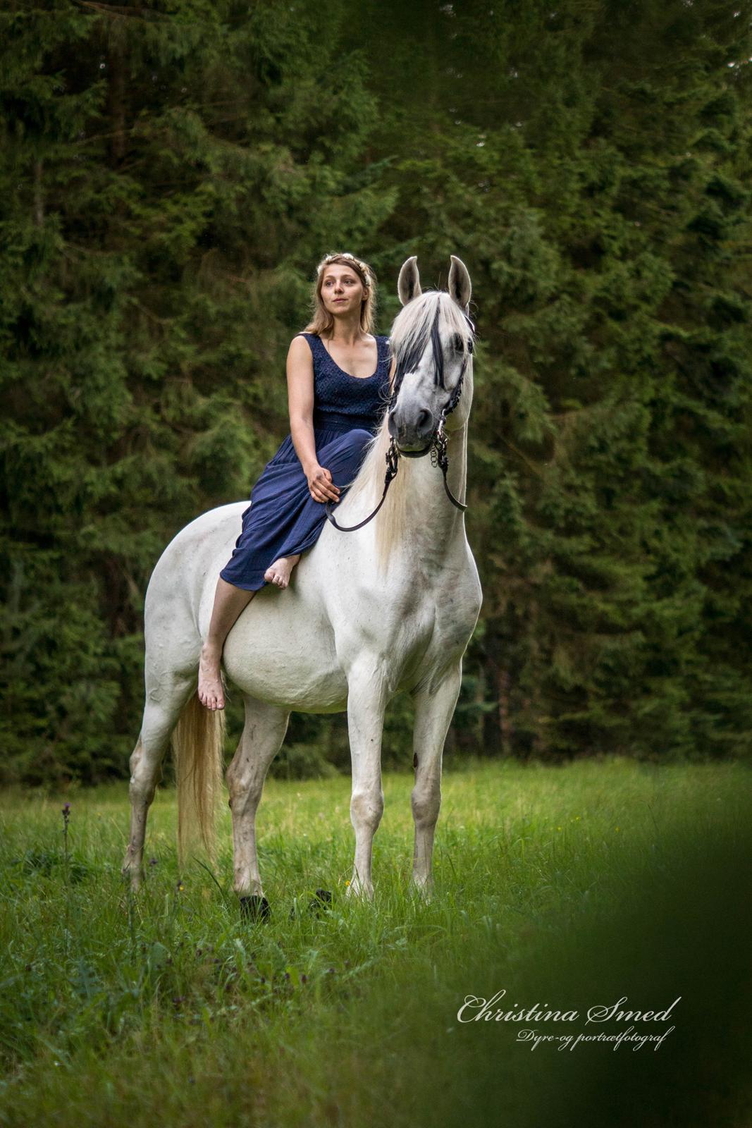 Anden særlig race Twenty - 30.07 2016 Fotograf Christina Smed billede 3