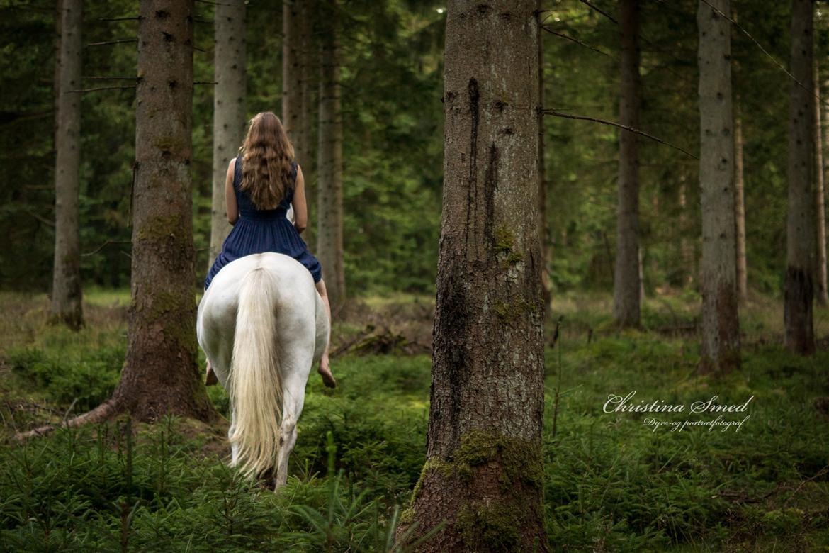 Anden særlig race Twenty - 30.07 2016 Fotograf Christina Smed billede 19