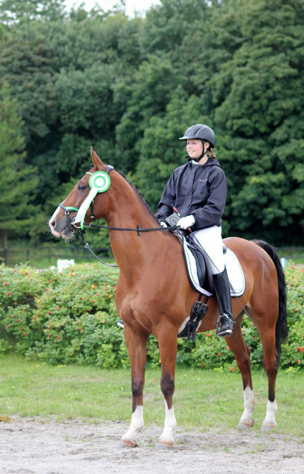 Anden særlig race Freeman - LC1 64.?% og en 3.plads - NSR forår 2016 billede 9