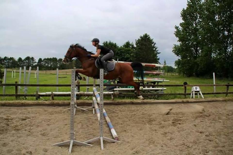 Anden særlig race Freeman - Spring trænning - sommer 2016 billede 17