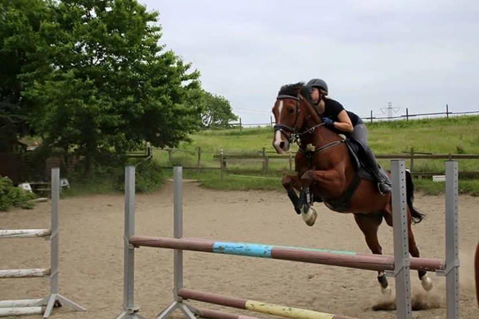 Anden særlig race Freeman - Spring trænning - sommer 2016 billede 18