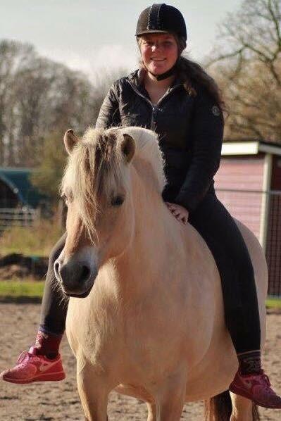 Fjordhest Ågerupgårds Neja <3 billede 1