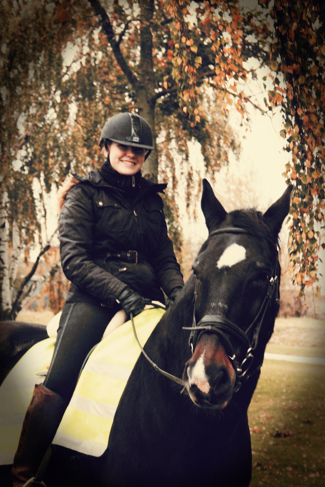 Oldenborg Emma (Dot) Hestbækgård - <3  billede 3