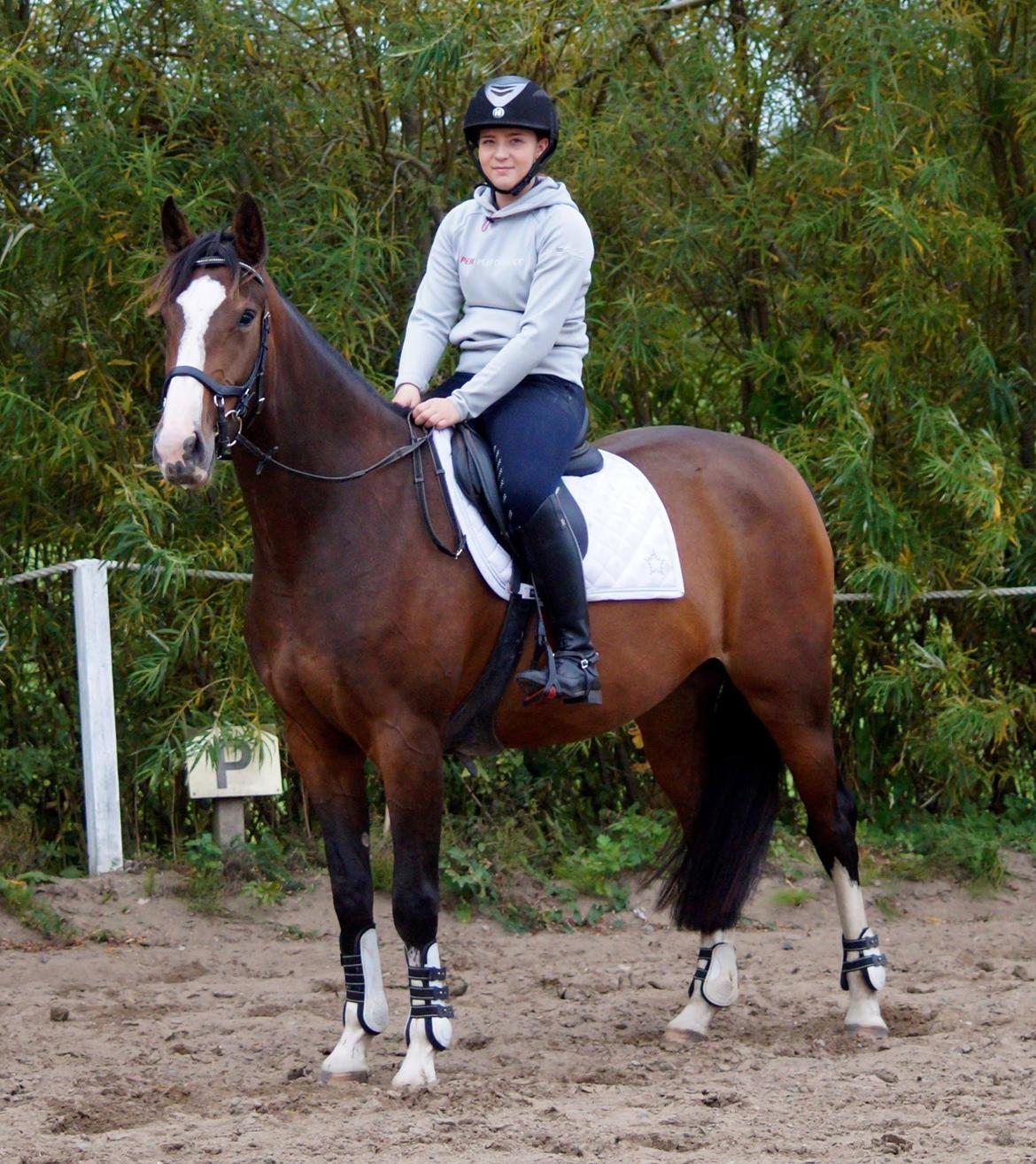 Anden særlig race Tesla billede 2