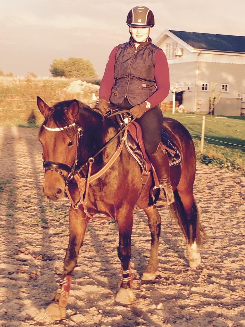 Anden særlig race Fibiger's Påø Laszlo billede 15