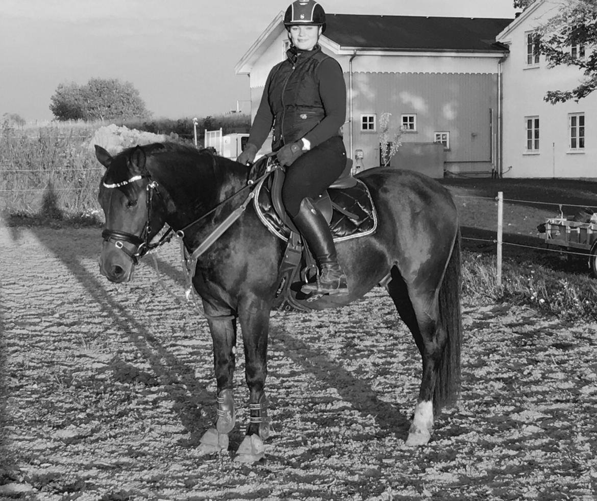 Anden særlig race Fibiger's Påø Laszlo billede 13