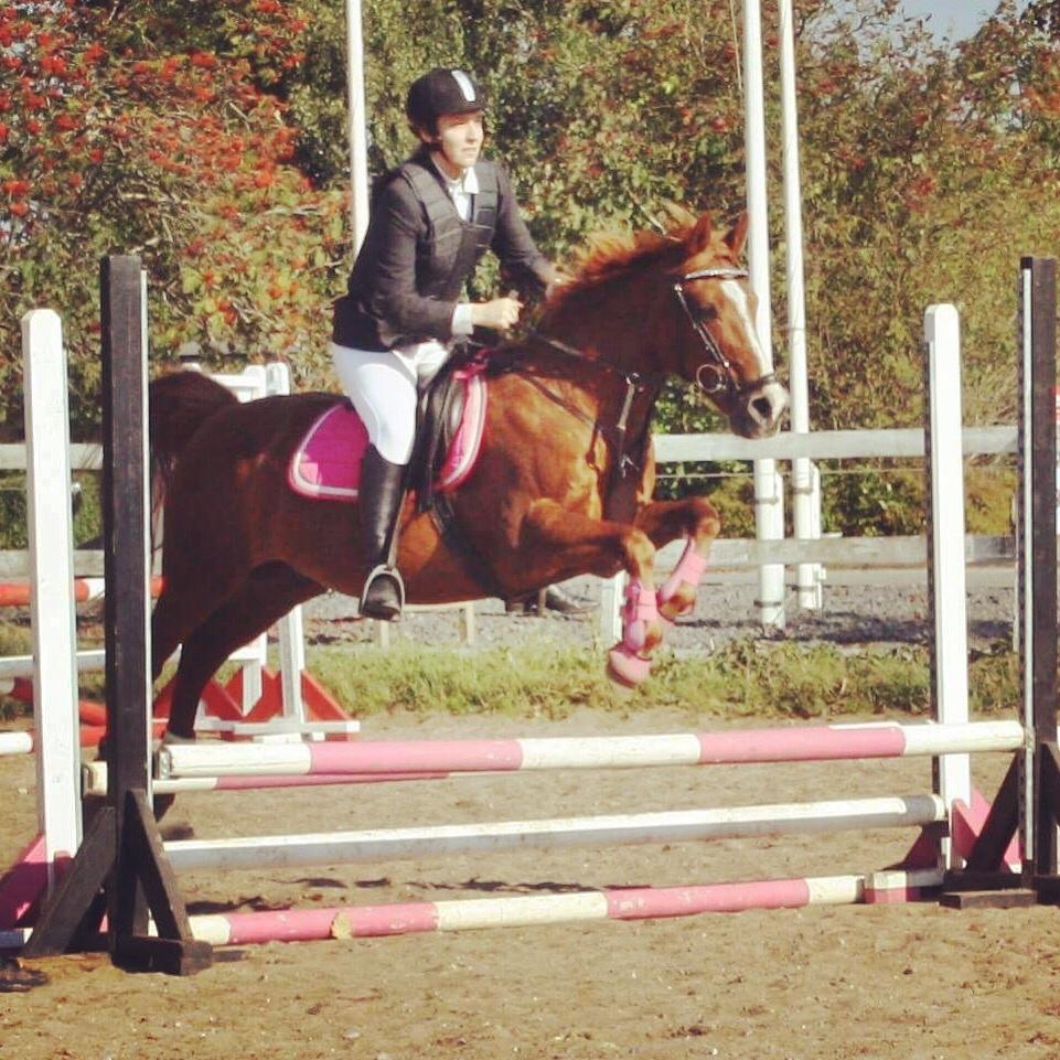 Anden særlig race Forint billede 19