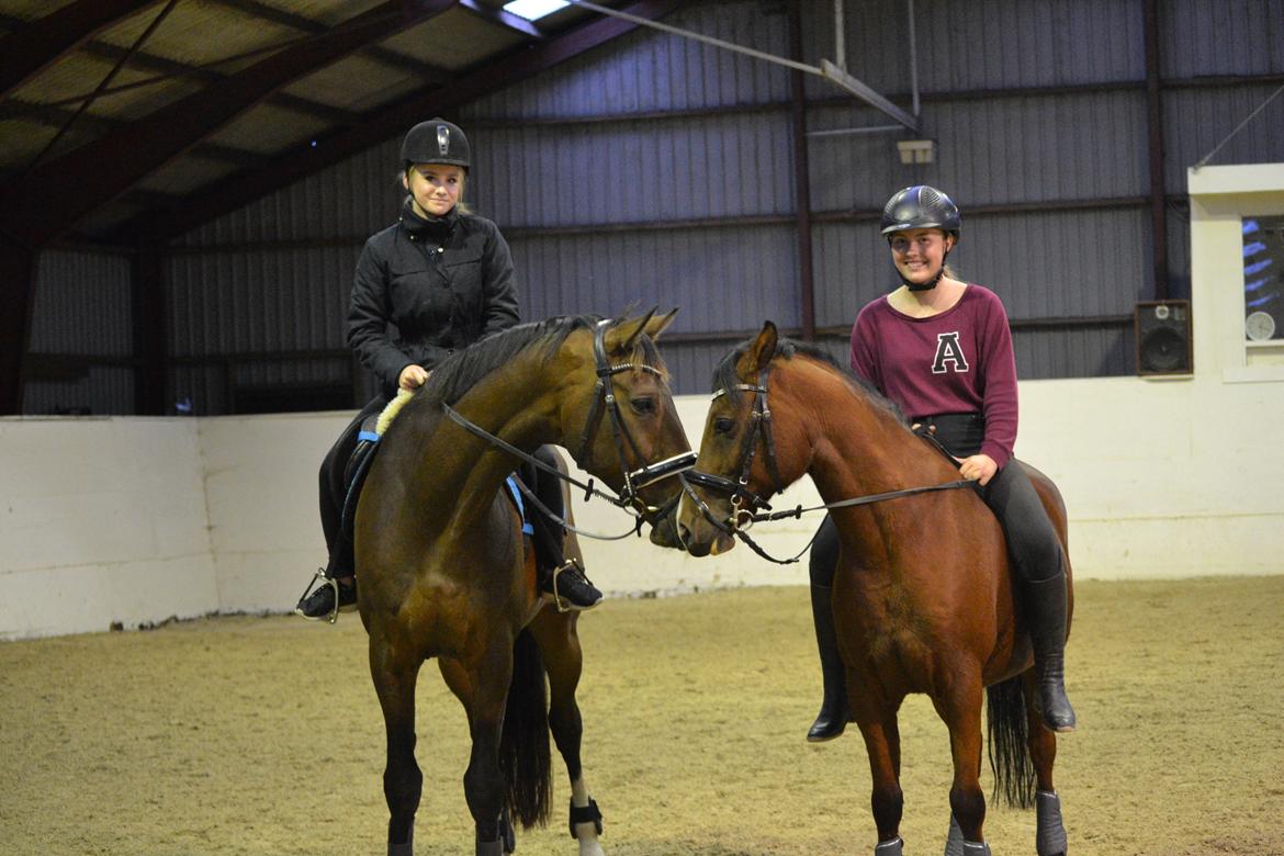 Dansk Varmblod Zano Redtz - Zano og vores pony Pepsi billede 4