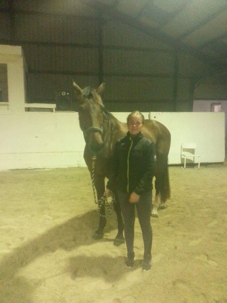 Dansk Varmblod Zano Redtz - Første gang i vores ridehal billede 12