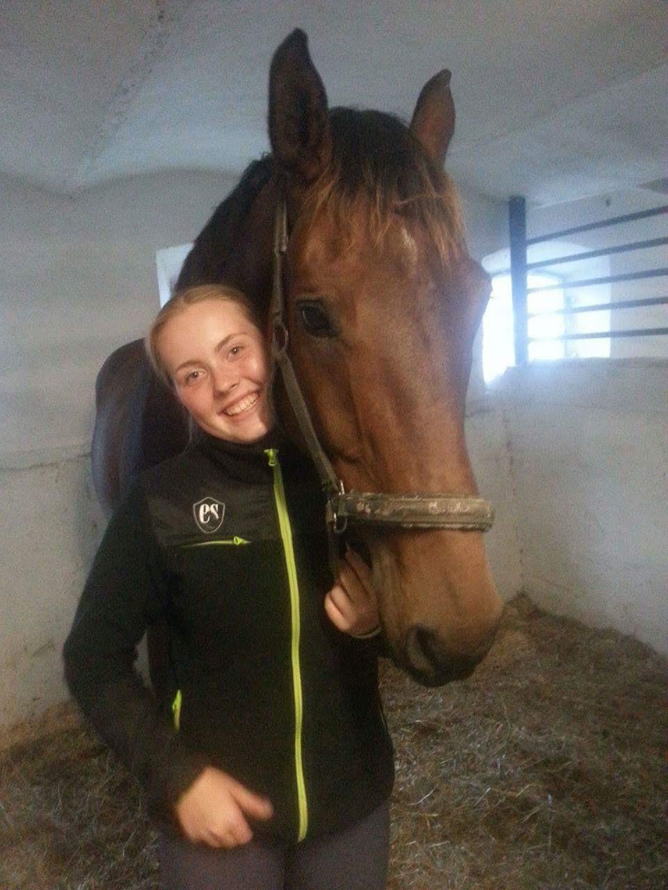 Dansk Varmblod Zano Redtz - Lige inden vi hentede ham billede 18