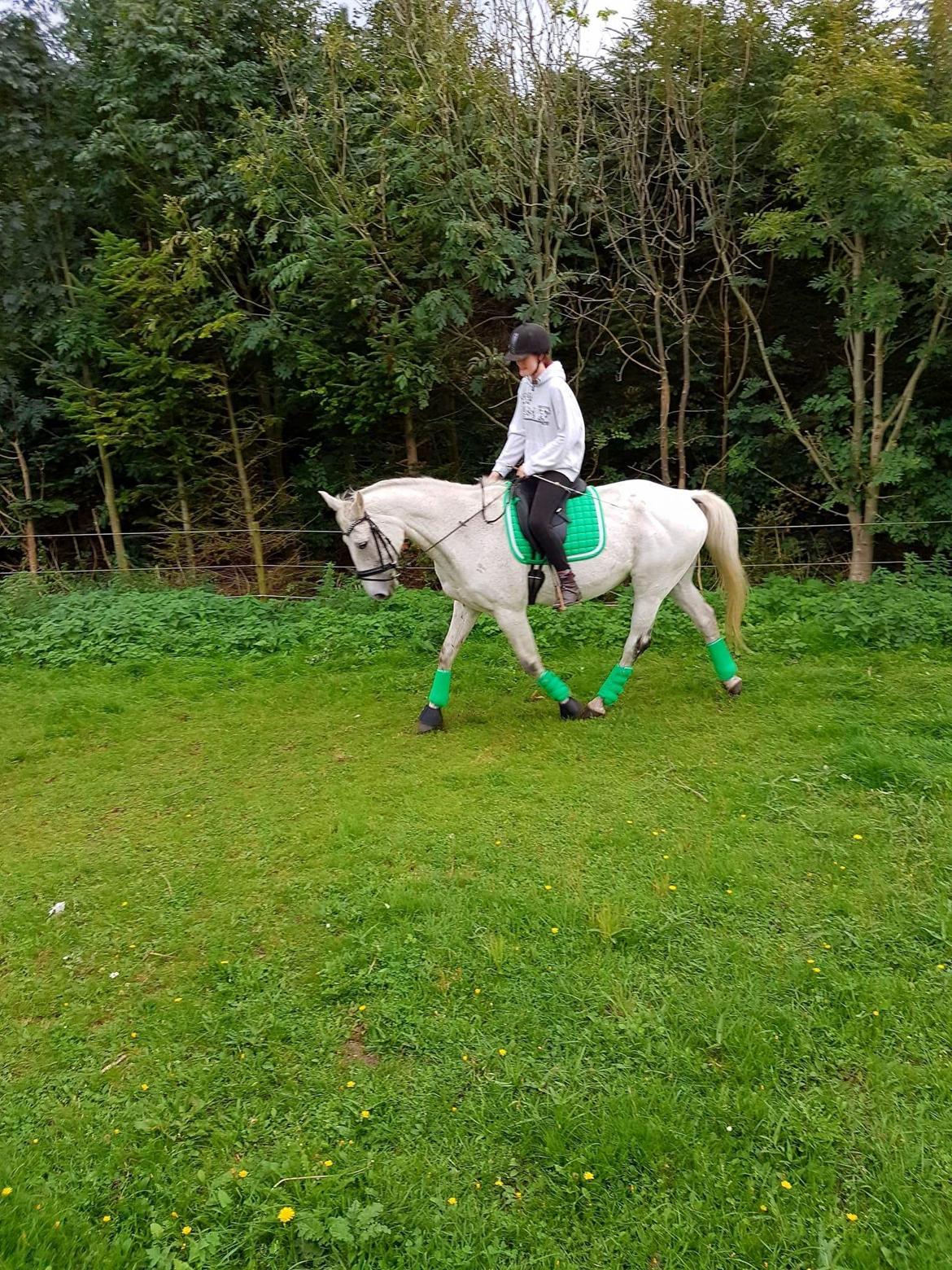 Anden særlig race Clinton billede 19