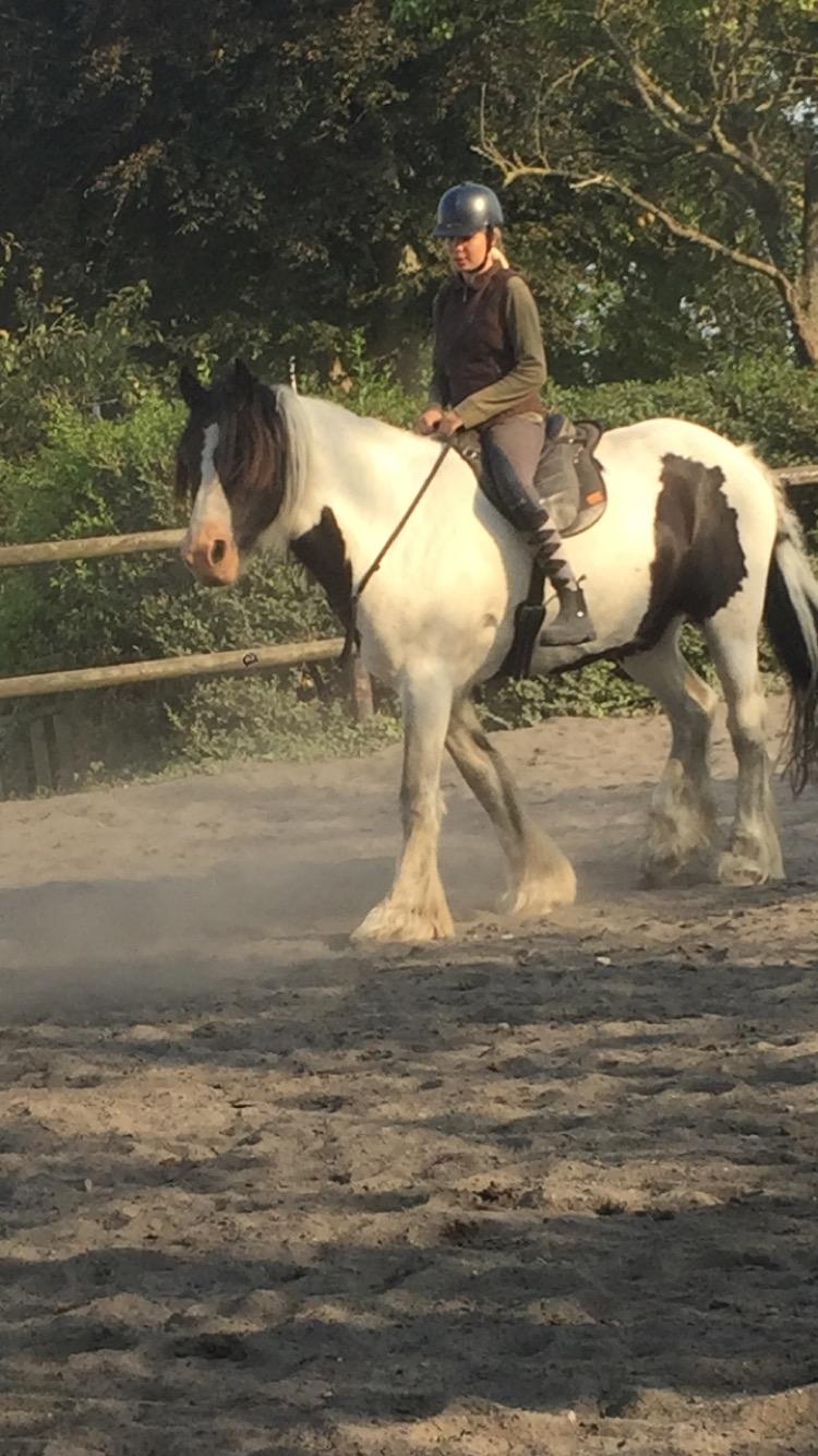 Tinker Kenzo's thumps up *kenny*  billede 18