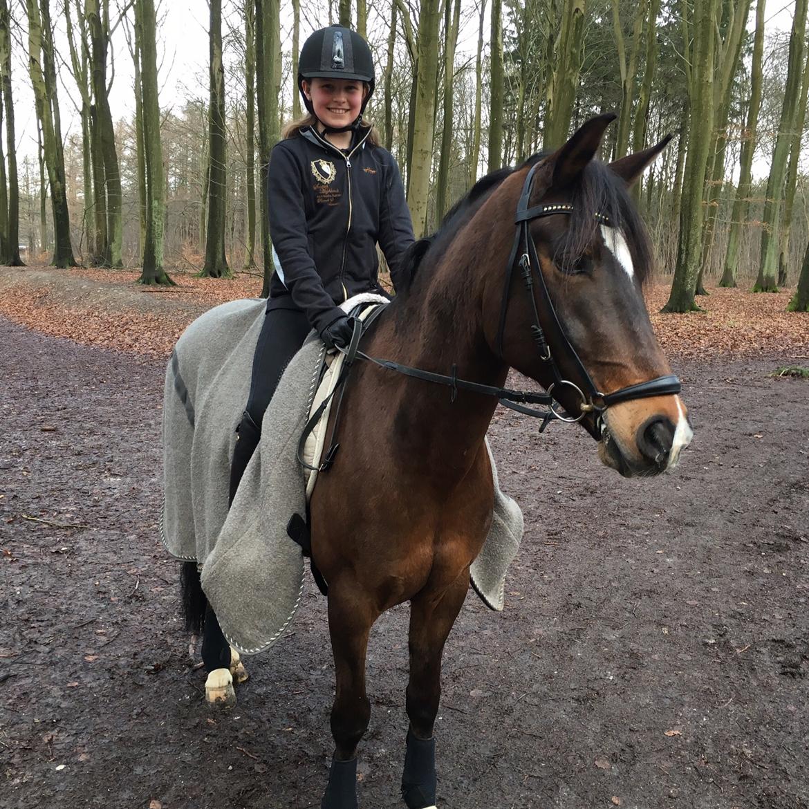 New Forest Opbroek's  Aron  billede 2