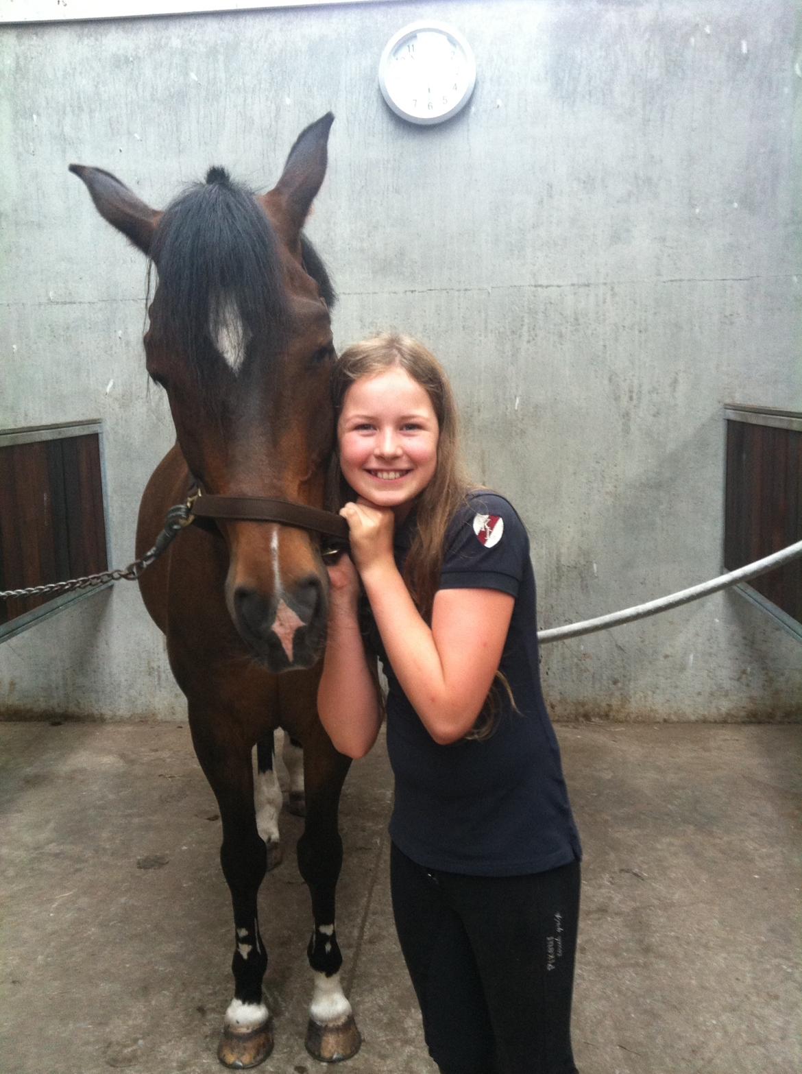 New Forest Opbroek's  Aron  billede 4