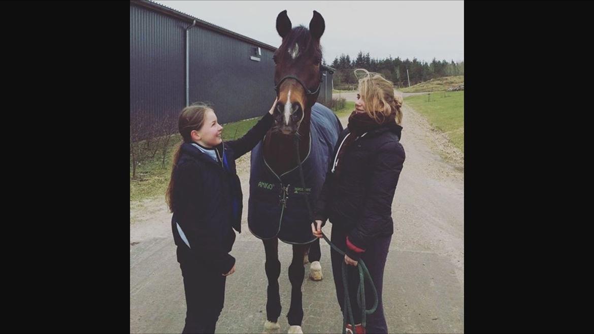 New Forest Opbroek's  Aron  billede 7