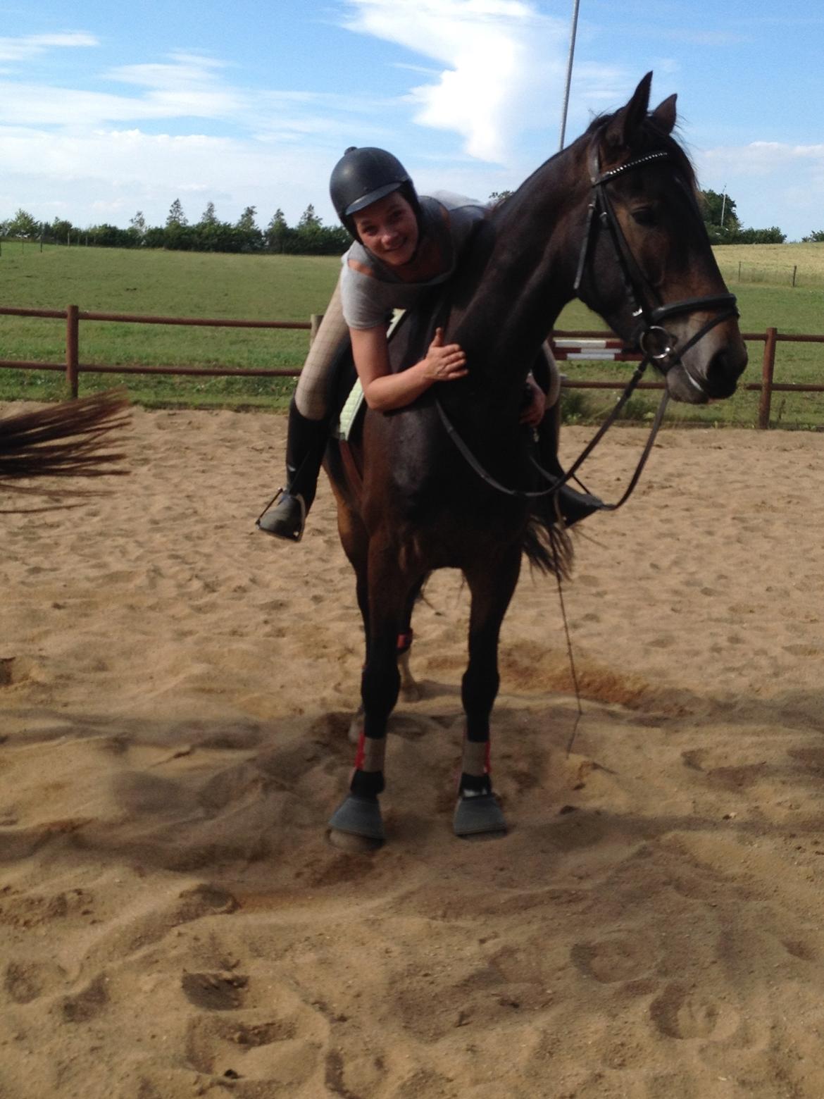 Barockpinto Diablo billede 1