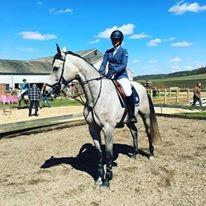 Dansk Varmblod Tascha Ask billede 5