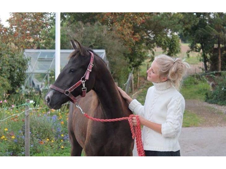 {{currentPhoto.altText}} billede {{currentPhoto.number}}