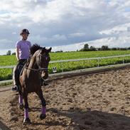 Dansk Varmblod La vær firfod [Min Part]