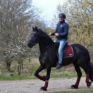 Frieser Liesbeth fan Hylpen