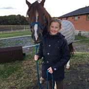 DSP Firhøjs Papillon 