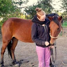 Traver Jovial Millpond