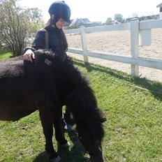 Anden særlig race Victor