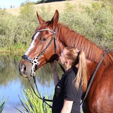 Anden særlig race Sunrise *Sunnie*