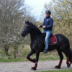 Frieser Liesbeth fan Hylpen